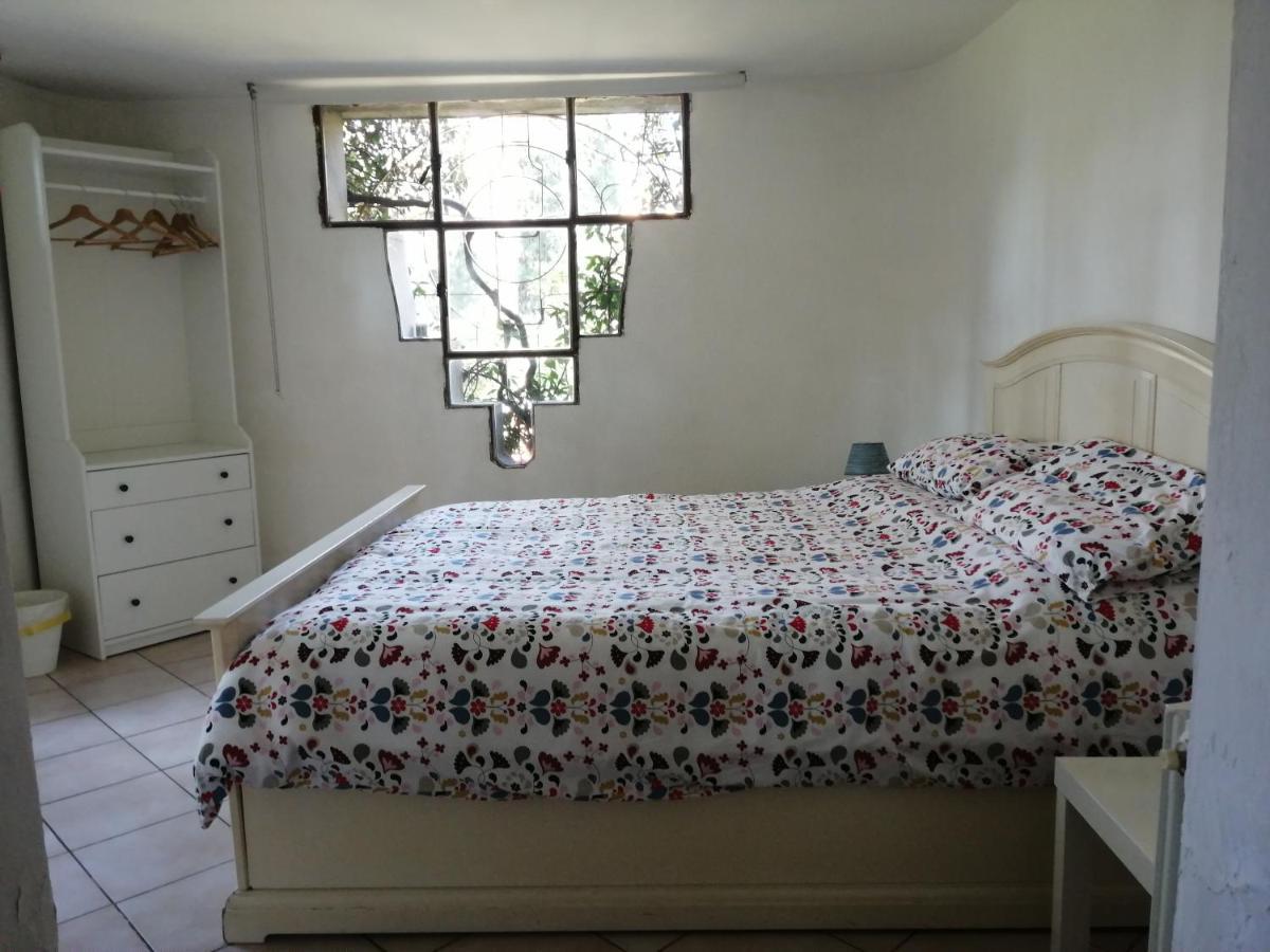La Casa Di Duccio Con Parcheggio Gratuito Apartment Florence Ngoại thất bức ảnh